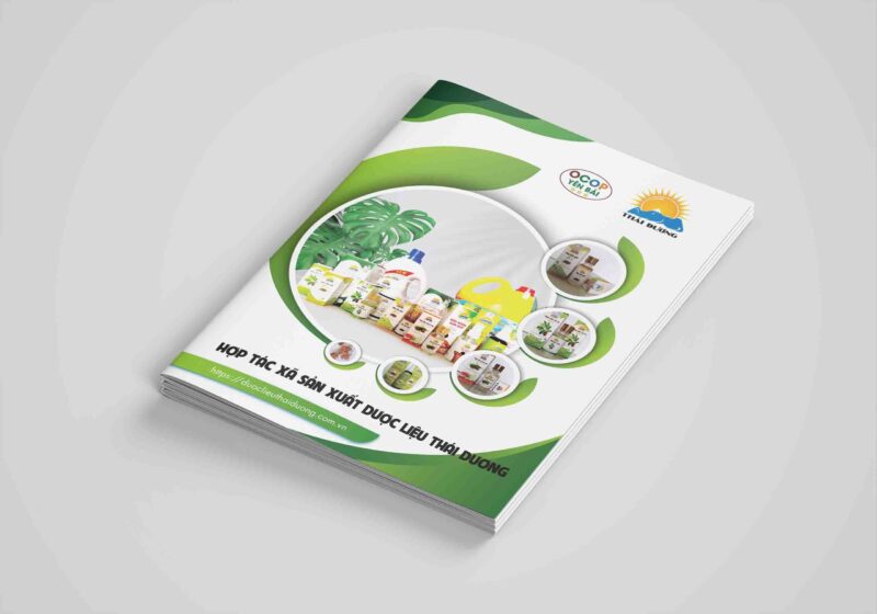 catalog-HTX-Thai-Duong-scaled-800x560